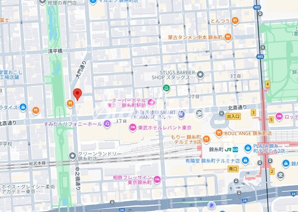 エスレジデンス錦糸町パークサイドの物件内観写真